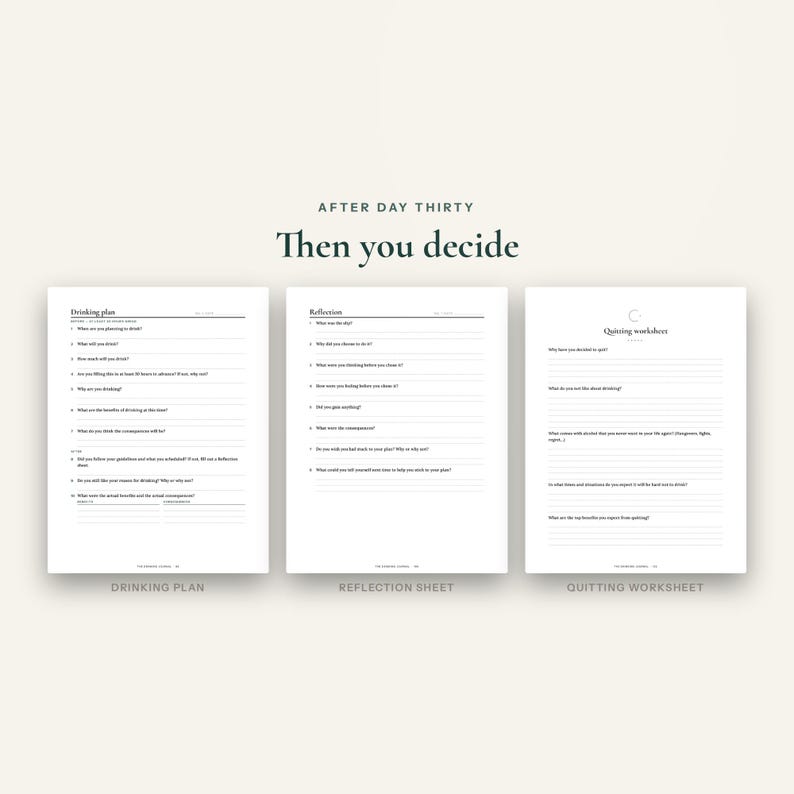 May include: Three white printable sheets titled After Day Thirty Then you decide, featuring a Drinking plan, a Reflection sheet, and a Quitting worksheet. Each page contains black text, numbered questions, and lined spaces for written responses.