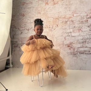 Puffy Beige Girl tulle dress Baby dress Birthday outfit Taupe girl dress Photoshoot girl dress Birthday party dress Fancy dress girl image 1