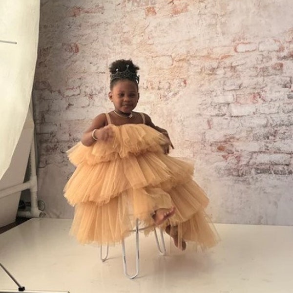 Puffy Beige Girl tulle dress Baby dress Birthday outfit Taupe girl dress Photoshoot girl dress Birthday party dress Fancy dress girl