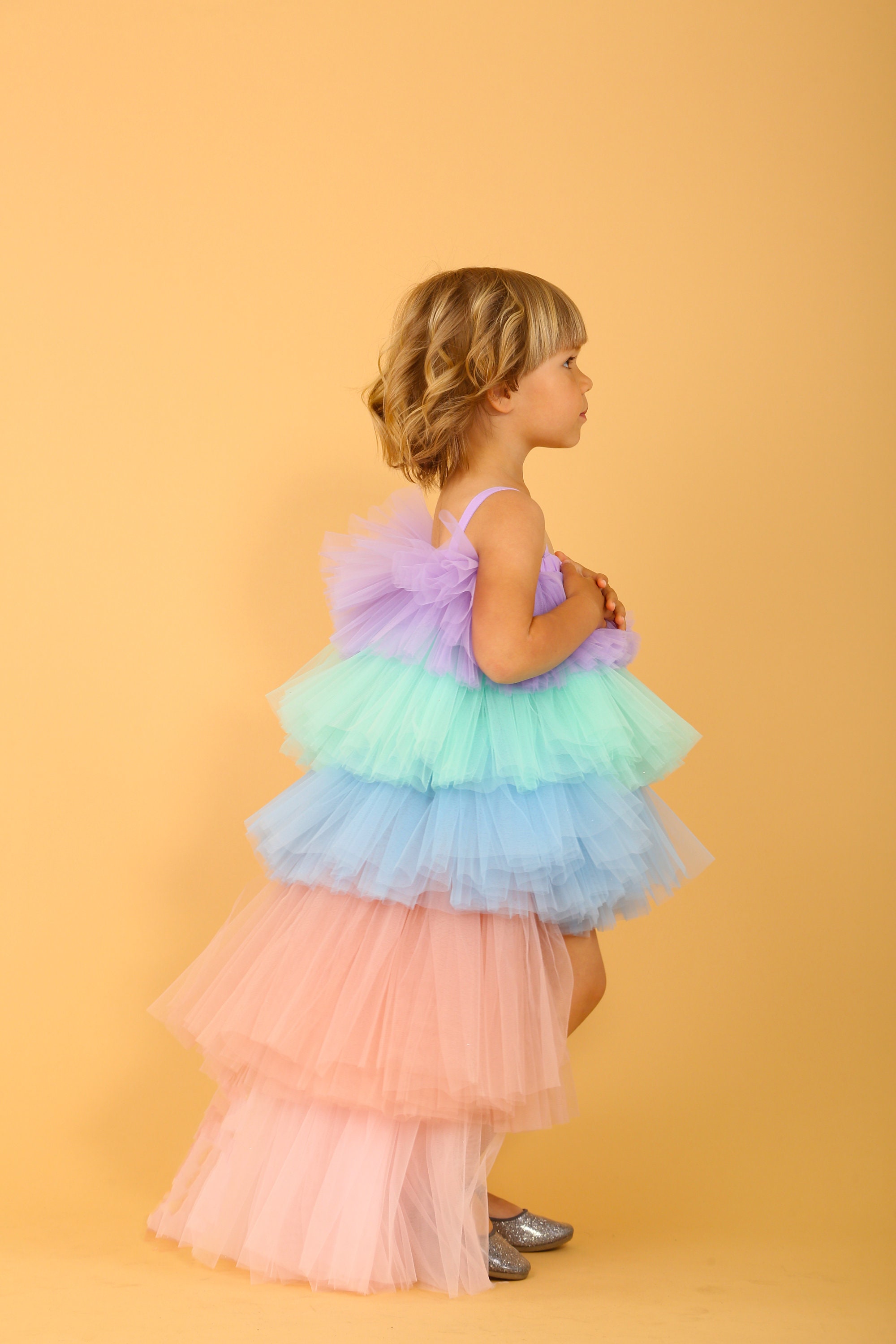 Puffy Rainbow Tulle Dress Rainbow Baby Dress First Birthday Outfit Rainbow  Girl Dress Photoshoot Girl Dress Toddler Party Dress Fancy Dress 