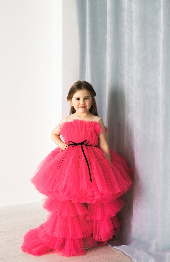 Roze meisje tule jurk met sleep Baby jurk Eerste verjaardag outfit Blush jurk Fotoshoot meisje Peuter feestjurk Prinses bloemenmeisje jurk Etsy Nederland