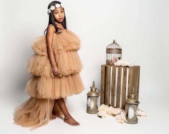 Puffy Beige Girl tulle dress Baby dress First Birthday outfit Taupe girl dress Photoshoot girl dress Toddler party dress Fancy dress girl