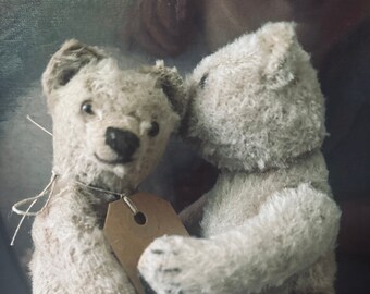 Sugarsweet teddydarlings  antique ,brothercouple ,STEIFF,ca 1930,Germany