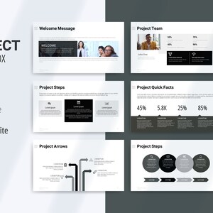 - Project Steps
- Project Phases
- Project Market
- Project Results
- Project Process
- Market Structure
- Infographics and Diagrams
