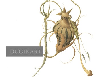 Fine Art Print - MUSICIAN with the TRUMPET  by Olga Dugina and Andrej Dugin