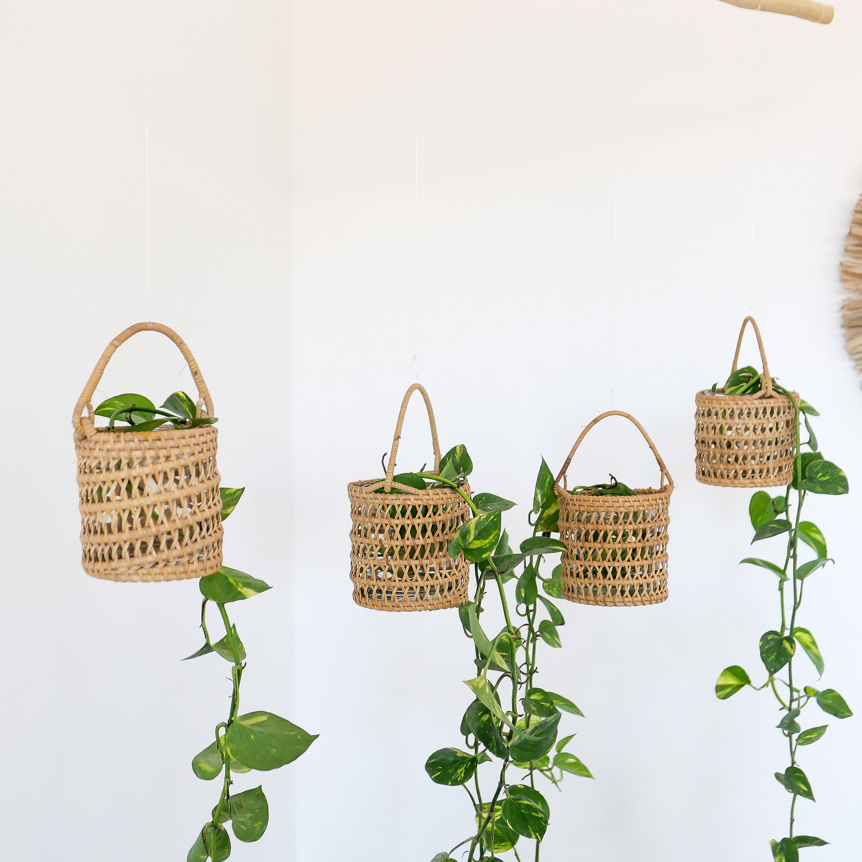 EEEKit 3 Pack Macrame Plant Hanger - Indoor Outdoor Hanging Planter Shelf - Decorative Flower Pot Holder - Hanging Baskets For Plant, Boho Bohemian Home Decor, in Box, for Succulents, Cacti, Herbs EEEKit 3 Pack Macrame Plant Hanger - Indoor Outdoor Hanging Planter Shelf - Decorative Flower Pot Holder - Hanging Baskets For Plant, Boho Bohemian Home Decor, in Box, for Succulents, Cacti, Herbs