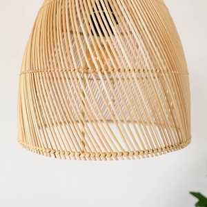 Pu&ograve; includere: Un paralume a sospensione in rattan naturale intrecciato con una lampadina visibile all'interno. Il paralume &egrave; realizzato con sottili strisce di rattan intrecciate e ha una forma leggermente arrotondata.