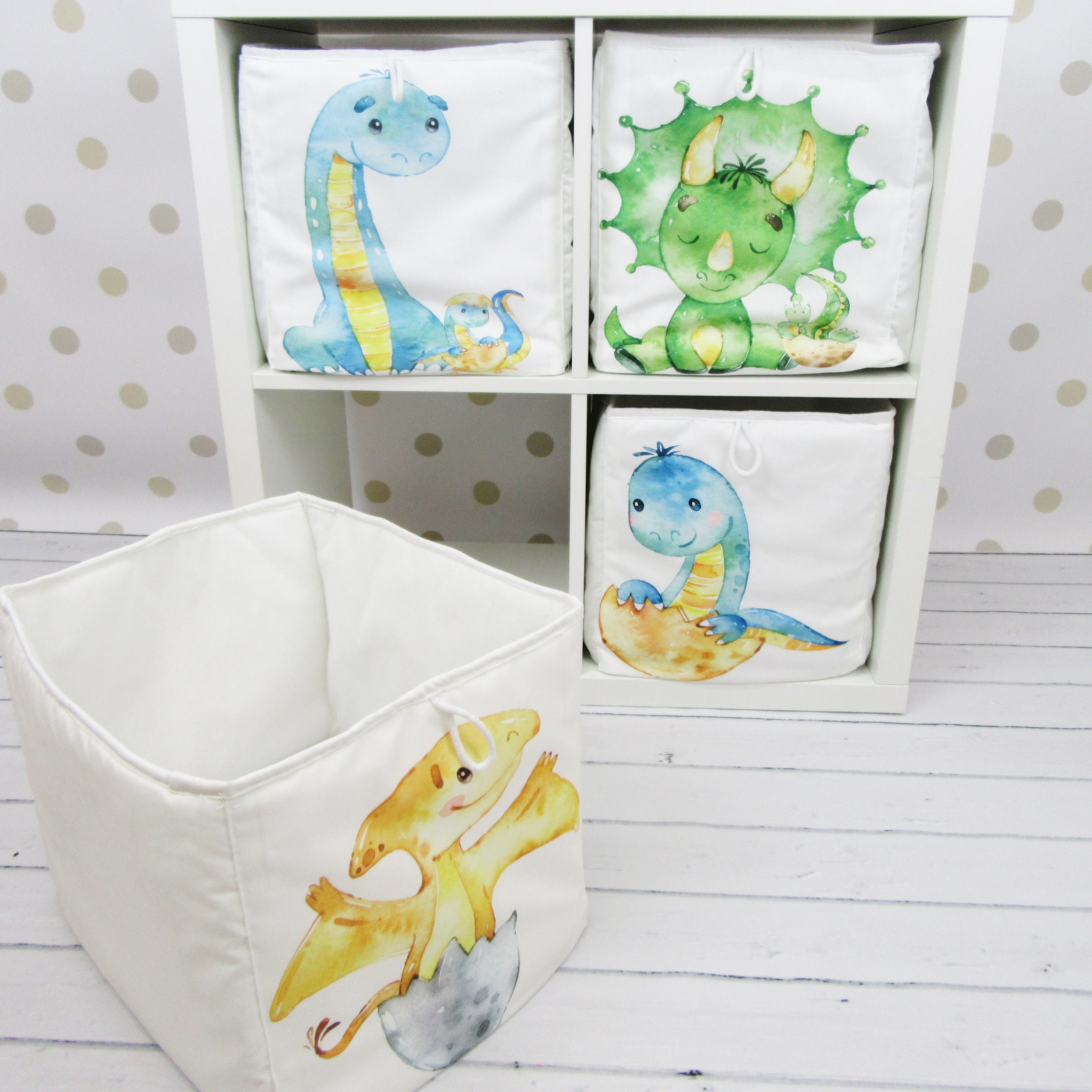 dinosaur kallax boxes