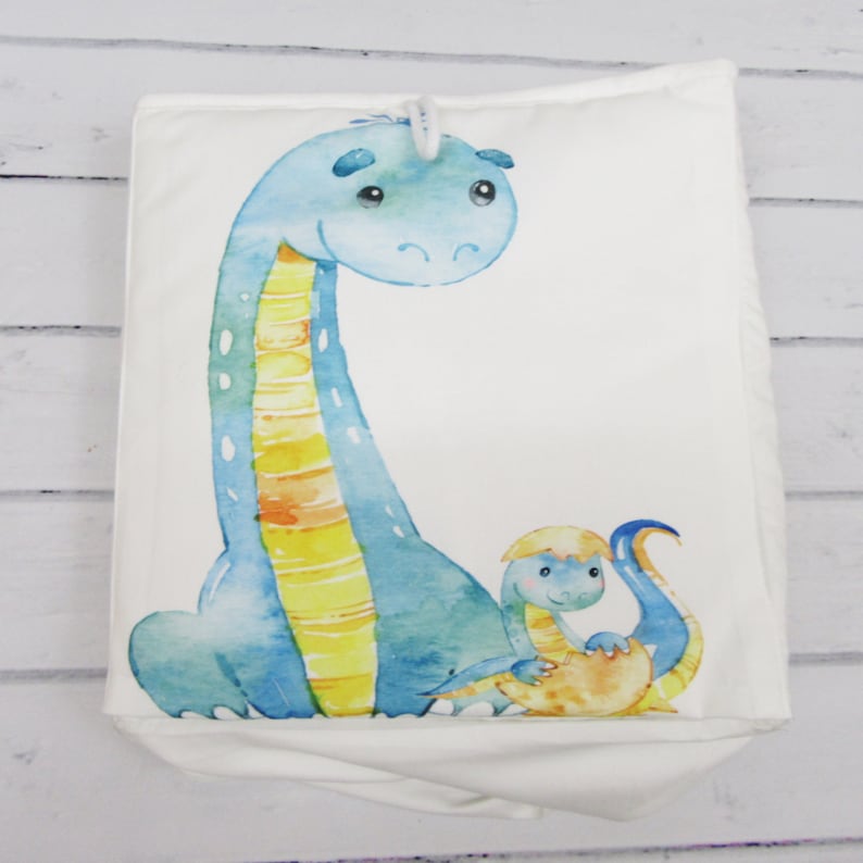 dinosaur kallax boxes