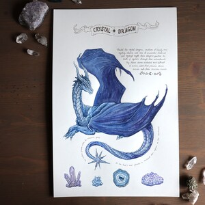 May include: A watercolor illustration of a blue crystal dragon with a starry sky pattern. The dragon is curled up with its wings spread out. The image includes the text "Crystal + Dragon" and a description of the dragon's characteristics.