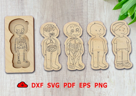 Piezas de madera del cuerpo para niños cortadas con láser