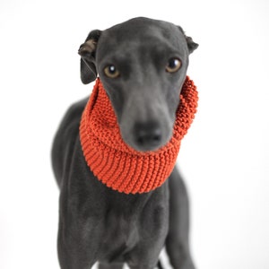 Hand knitted Snood for Italian Greyhounds & Whippets | Cinnamon