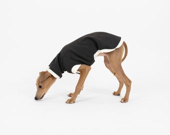 Cozy Waistcoat for Italian Greyhounds & Whippets | Multicolors + white finish