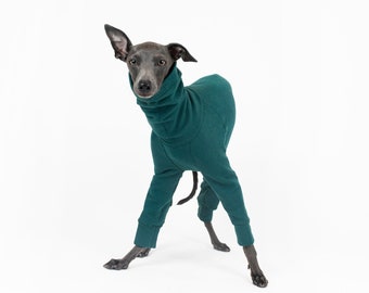 Warm & Soft Jumpsuit for Italian Greyhounds and Whippets | Green Ocean