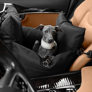 Op de afbeelding: Een grijze Italiaanse Greyhound met een witte halsband zit in een zwarte autostoel. De autostoel is bevestigd in een voertuig met tan lederen stoelen en een houten dashboard. De hond kijkt recht in de camera.
