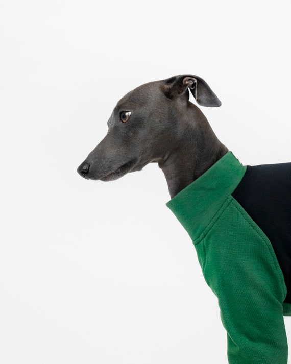 Manteaux Whippet/Greyhound – Back on Track France