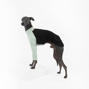 are bones easily digested by a italian greyhound