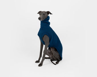 May include: A grey Italian Greyhound dog wearing a blue fleece sweater with a high neck.