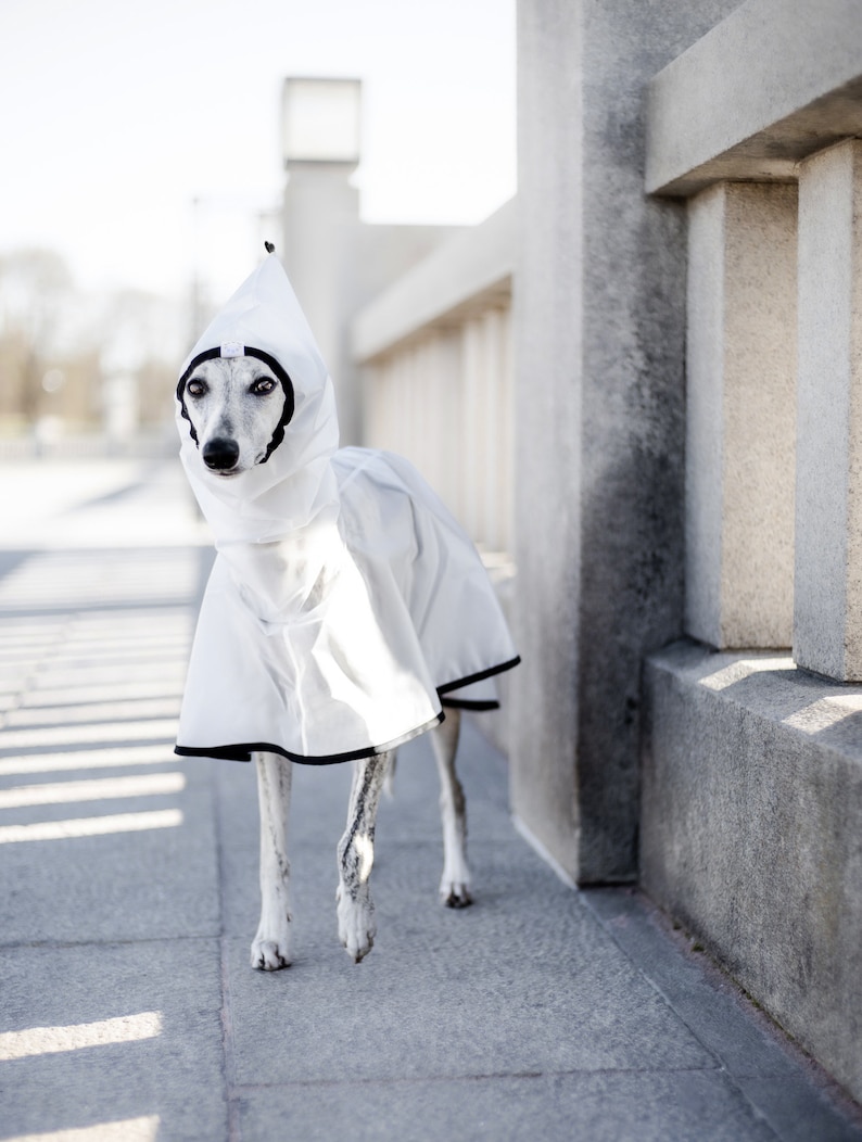 See-through Lightweight Elfin's Raincoat Black image 8