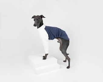 Light Bicolor Jumper for Italian Greyhounds and Whippets | White / Melange Blue