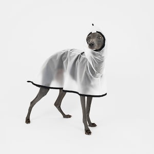 See-through Lightweight Elfin&#39;s Raincoat | Black