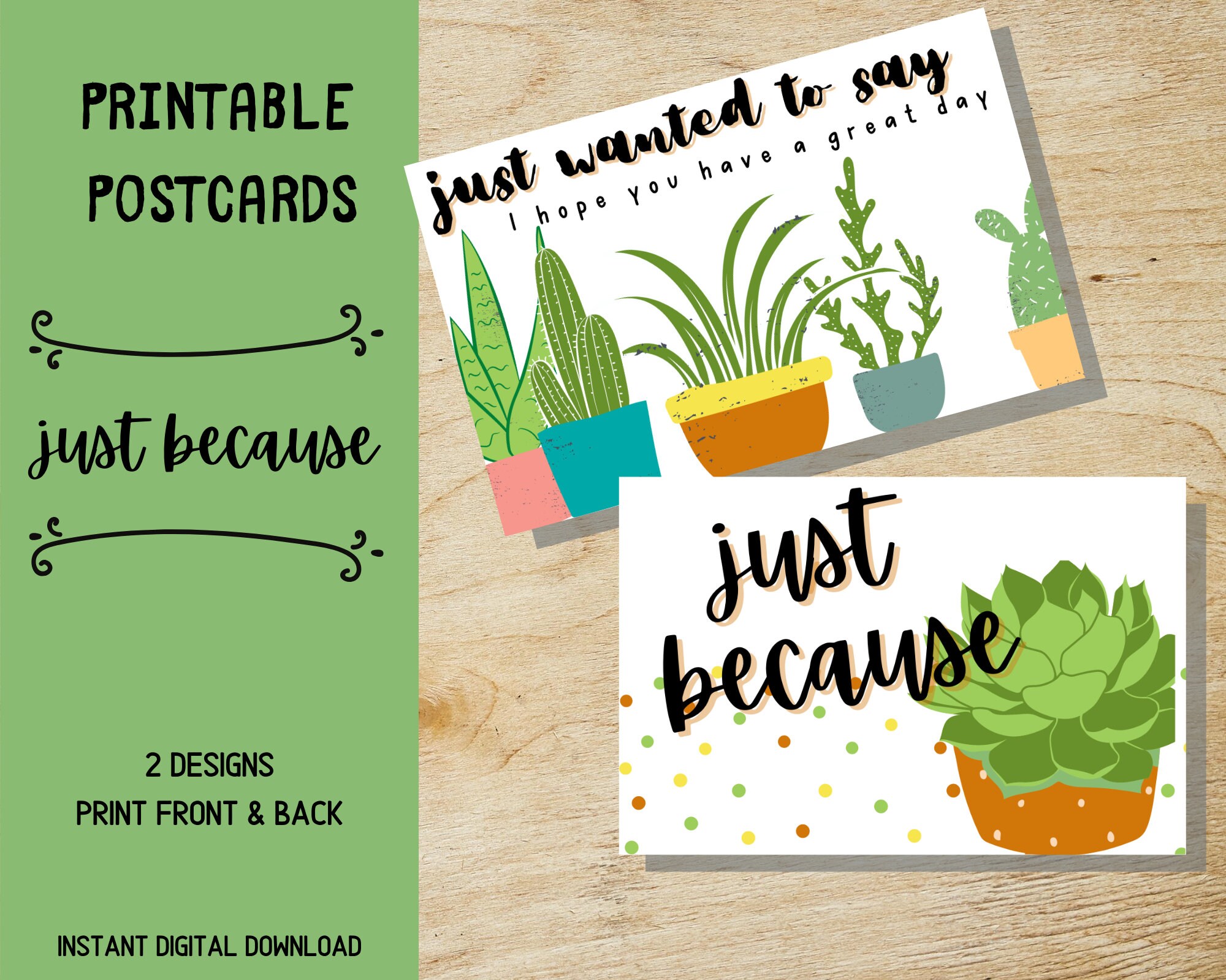 Succulent Postcard - Etsy