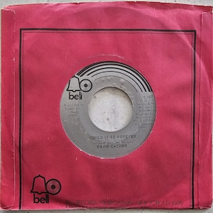 David Cassidy - Could It Be Forever / Blind Hope - Original 1972 US Import 7" | Build A Fantastic Vinyl Record Collection | FREE UK Delivery