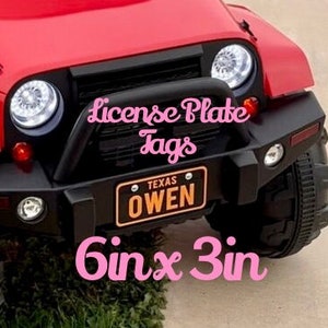 Large LICENSE PLATE 6in x 3in (15cm x 7.5cm) Tags Customized custom