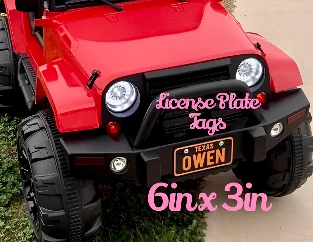 Large LICENSE PLATE 6in x 3in (15cm x 7.5cm) Tags Customized custom