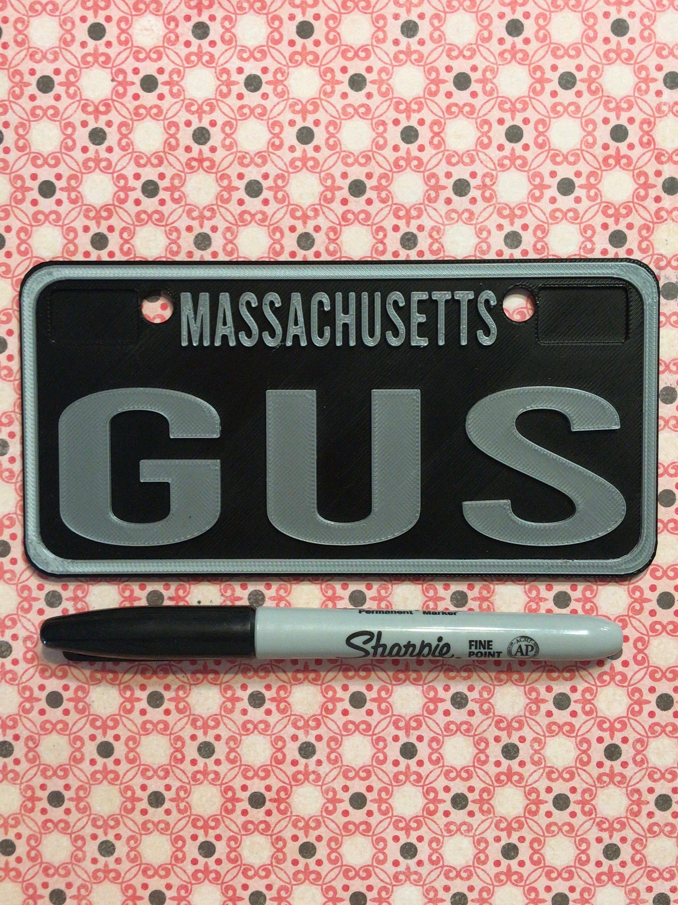 Large LICENSE PLATE 6in x 3in (15cm x 7.5cm) Tags Customized custom