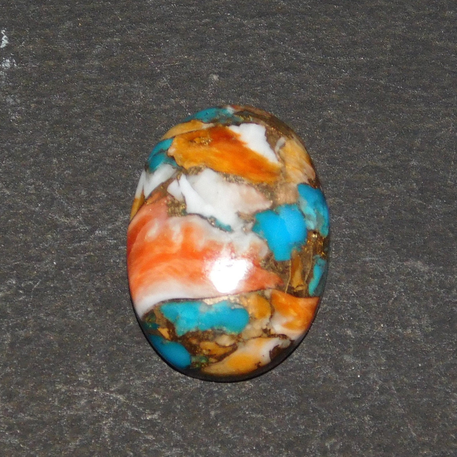 Spiny Oyster Turquoise Cabochonoval Shape Etsy