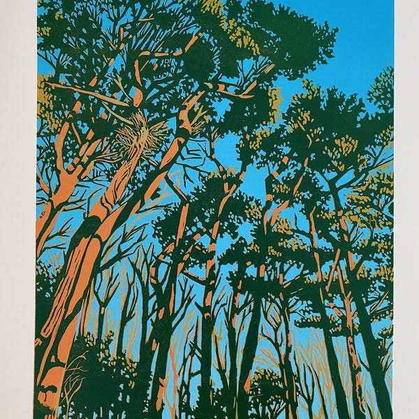 Landscape, Lino print, Original art, Pine trees, morning sun,  Lino cut, Woodland, Surrey, Blue, Orange, Wall art, Limited edition, Linocut