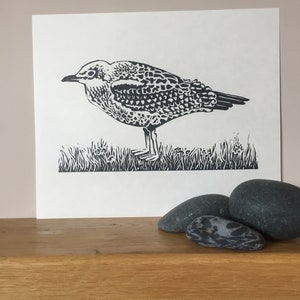 Young herring gull, lino print, Bird, Lino cut, Bird print, Lino print, Original art, Wall art, Print, Handmade, Hand printed, sea birds,