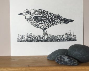 Junge Silbermöwe Linoldruck, Original Vogel (A4)