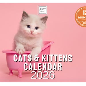 Puede incluir: Un gatito blanco y esponjoso con ojos azules sentado en una bañera rosa sobre un fondo rosa. El calendario dice "CATS & KITTENS CALENDAR 2026" e incluye 13 meses, incluido enero de 2027.