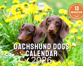 Dachshund Dogs 2026 Wall Calendar: UK Edition, Space for Notes