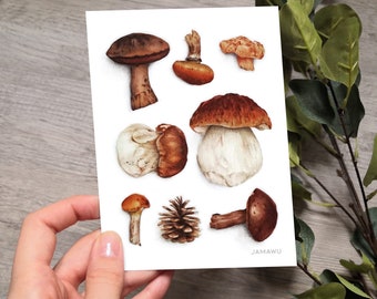 Champignons | Carte