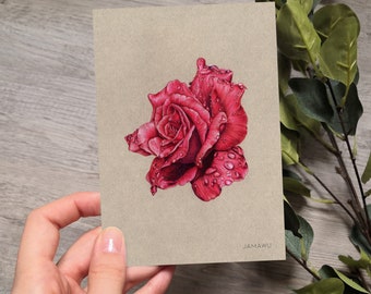 Roses | Carte