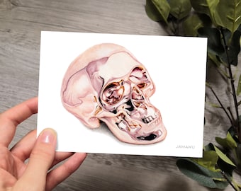 Skull | Karte