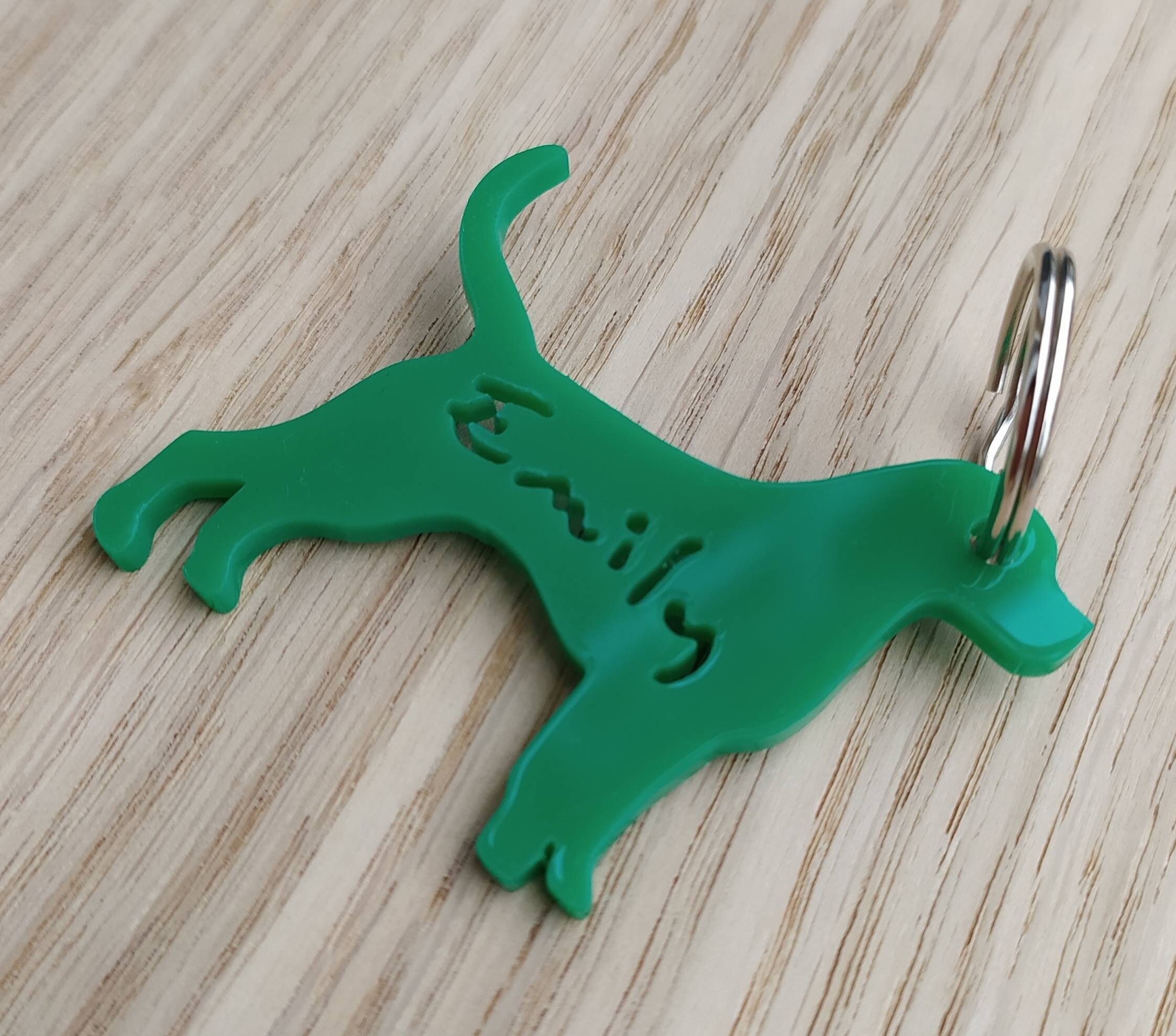 Dog Keyring Keychain Bagtag for Children Name Tag Etsy