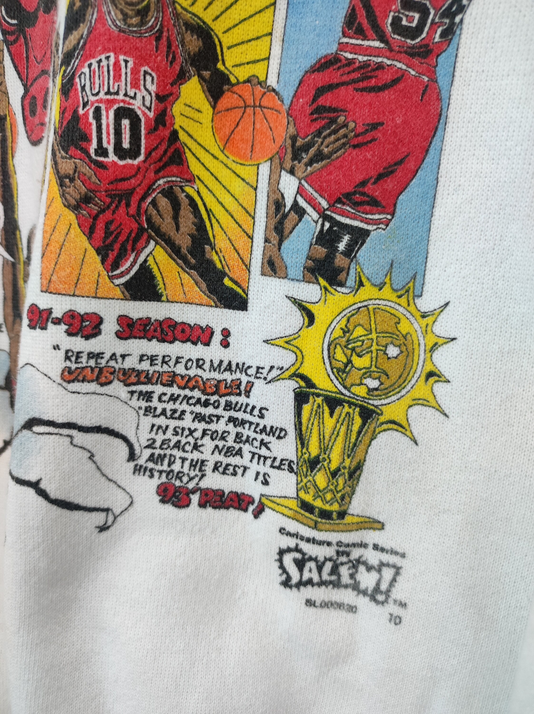 Vintage Chicago Bulls Salem Sportswear 1993 3 Times NBA World