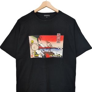 90s Peanuts Snoopy and Woodstock Cartoon Network Snoopy visiting Tokyo Fuji Mountain 90s Cartoon Large peanuts united feature syndicate