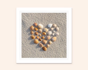 Beach House Wall Art - Seashell Wall Art - Seashell Gifts - Seashell Coastal Decor - Beach House Photography - Heart Shaped Art