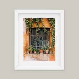 Plant Wall Art - Streets of Rome Print - Rome Photography - Window Wall Art - Potted Plant Wall Art - Ivy Art Print - Ivy Window Print