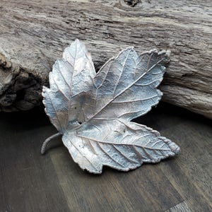 Copper Electroformed Maple Leaf with fine silver plating, made with a Real leaf