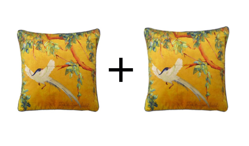 Housse De Coussin velours