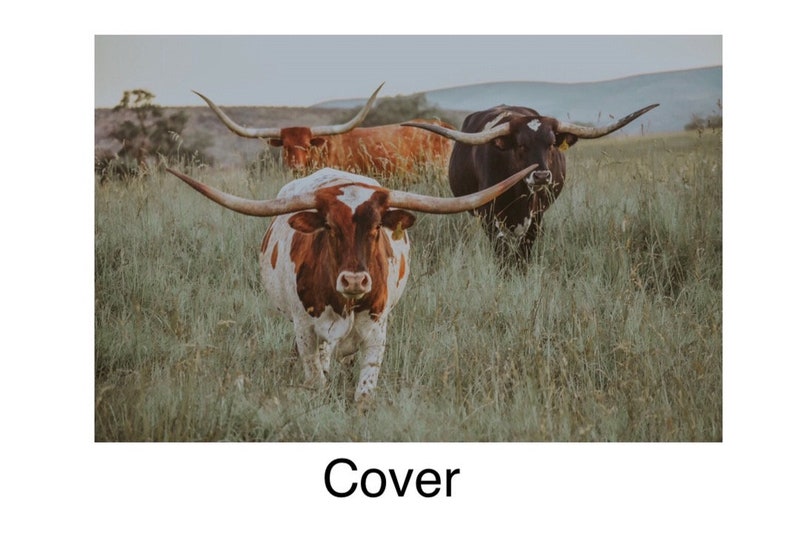 2021 Texas Longhorn Calendar Etsy