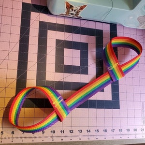 Rainbow Fursuit Paw Leash