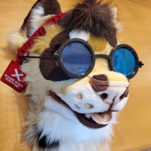 Fursuit Glasses