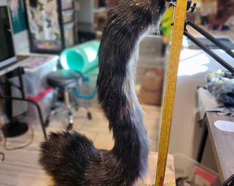 Patroon kattenstaart